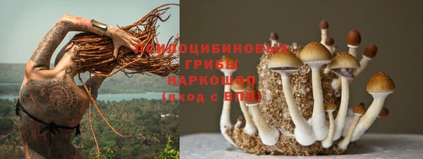 гидра Баксан