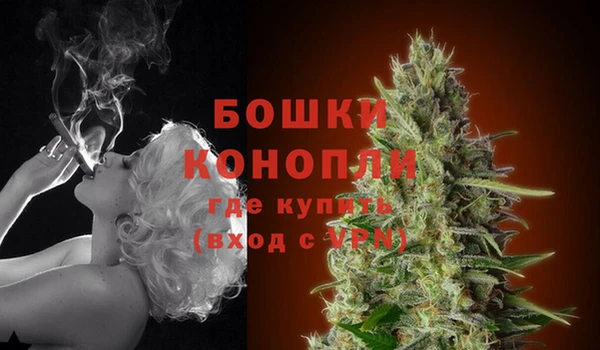 гидра Баксан