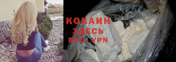 гидра Баксан