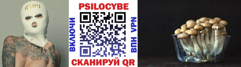Псилоцибиновые грибы мухоморы Лакинск
